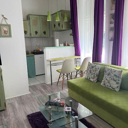 Center Cosy Vintage Apartment Novi Sad Ngoại thất bức ảnh