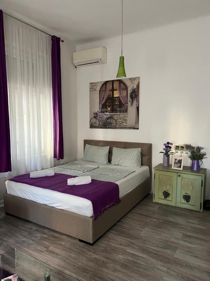 Center Cosy Vintage Apartment Novi Sad Ngoại thất bức ảnh