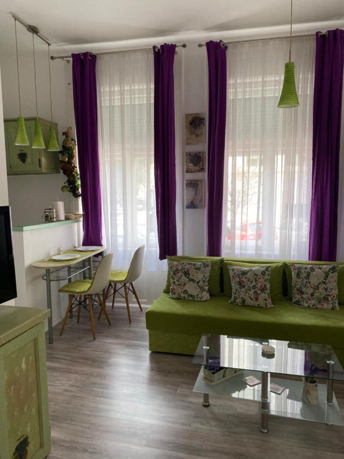 Center Cosy Vintage Apartment Novi Sad Ngoại thất bức ảnh
