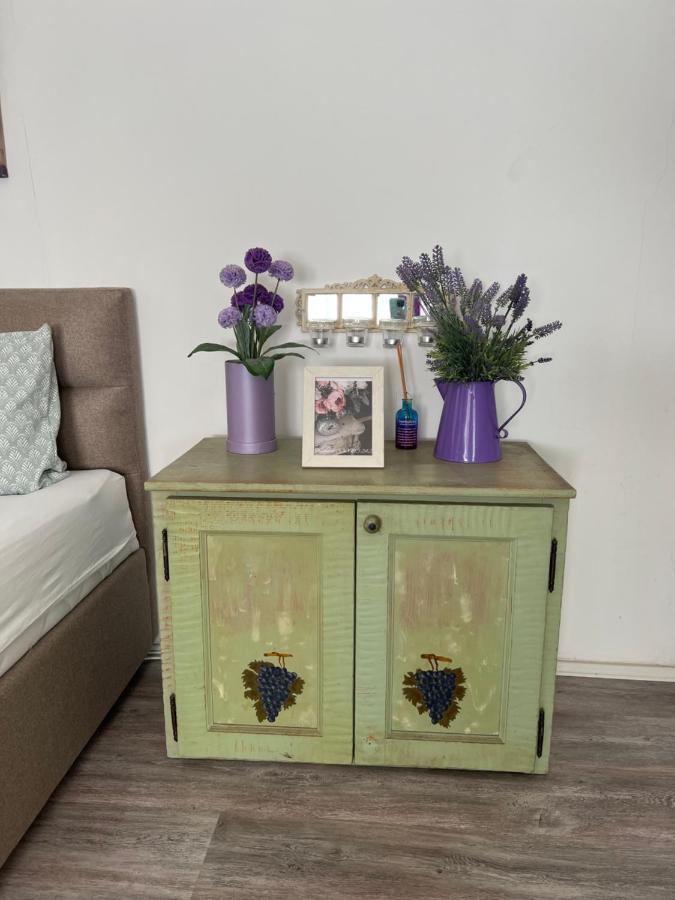 Center Cosy Vintage Apartment Novi Sad Ngoại thất bức ảnh